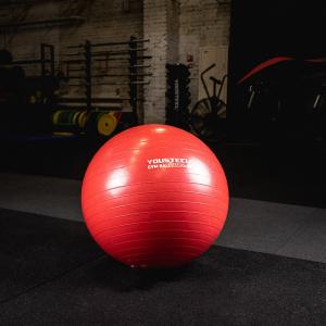 Купить Гимнастический мяч Yousteel Hard 55см в Тынде 